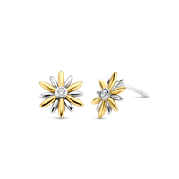 Boucles d'oreilles Ti Sento Milano Femme in Argent Zirconia 7860ZYTISENTOMILANO - 7860ZYTISENTOMILANO